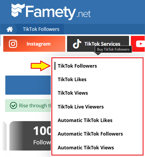 famety tiktok services